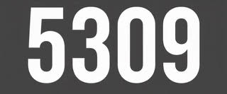 5309 Casting